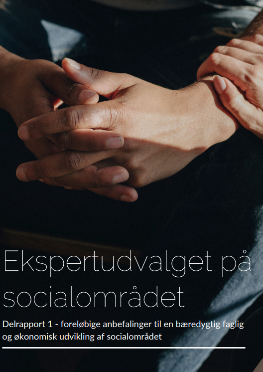 Ekspertudvalget På Socialområdet: Delrapport 1 - Social- Og ...